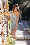 202310 SOANI